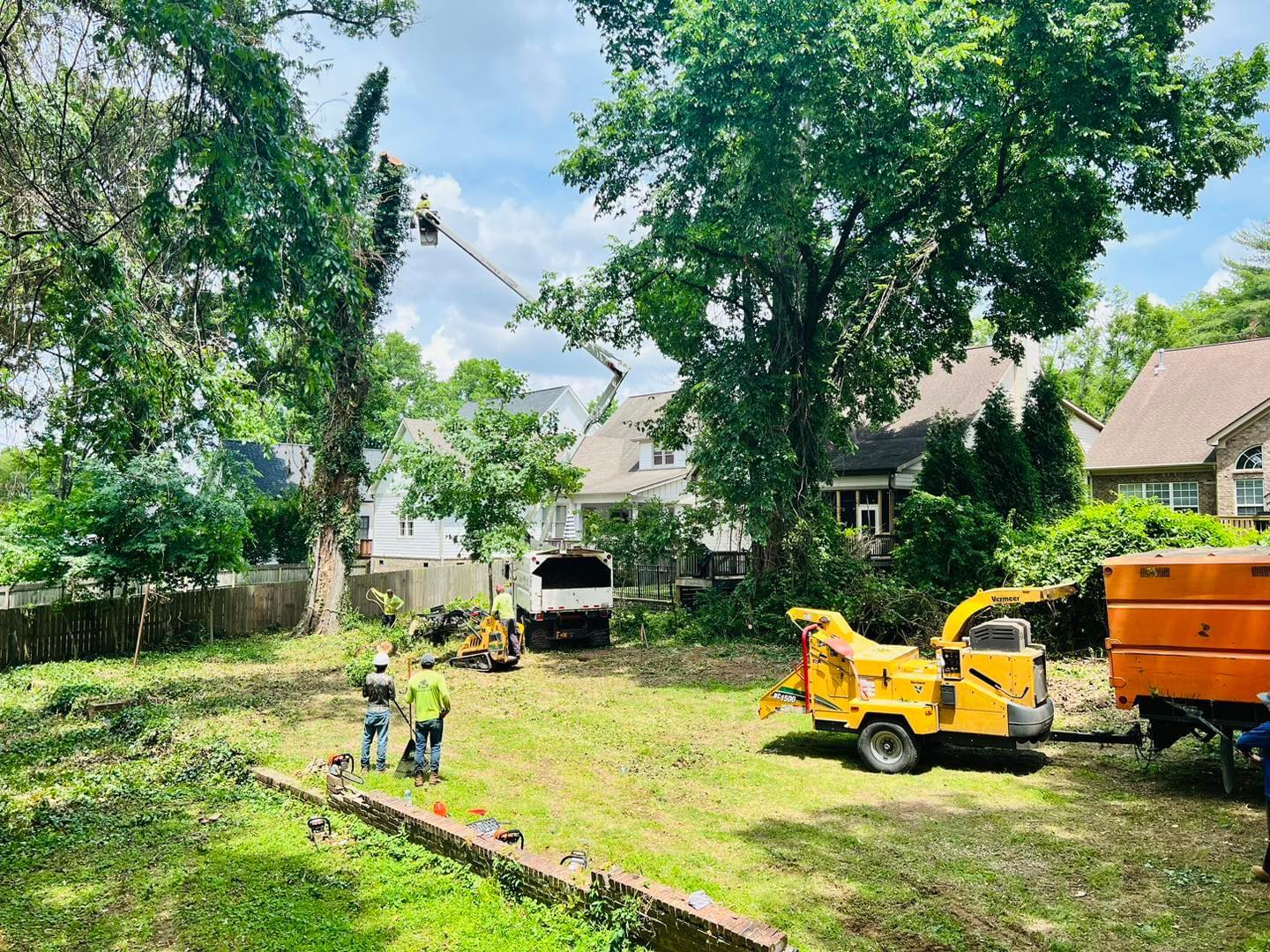 Tree crew working in a backyard with a bucket truck, Vermeer chipper and tracked loader