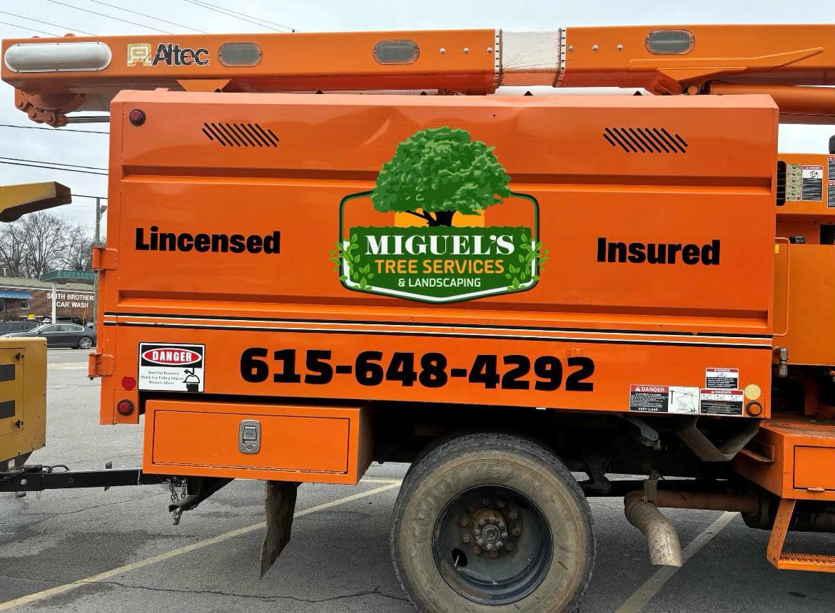 Truck displaying Miguel’s Tree Services logo, licensed and insured markings, and 615-648-4292