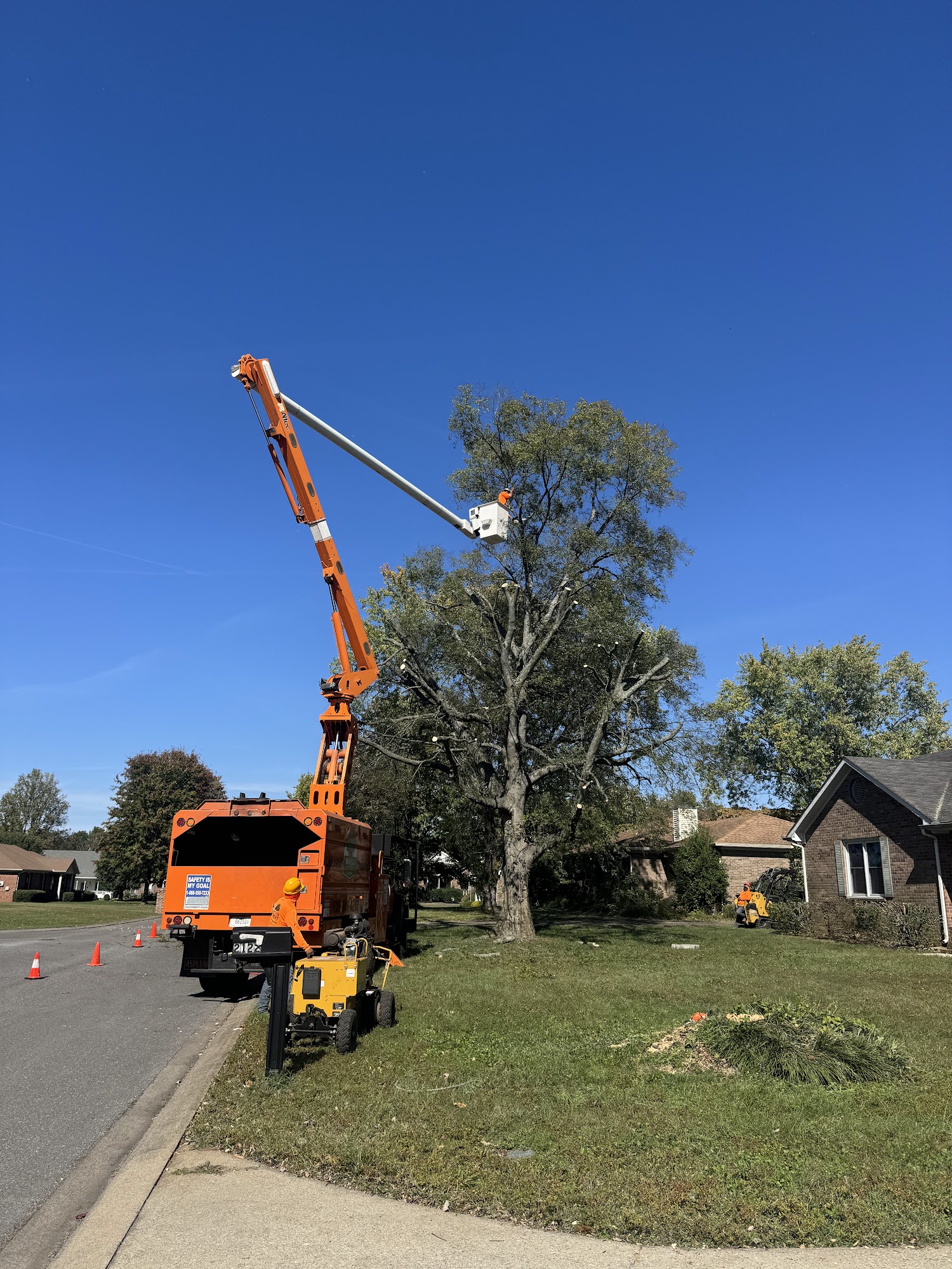 Orange bucket truck and stump equipment at a residential tree job
