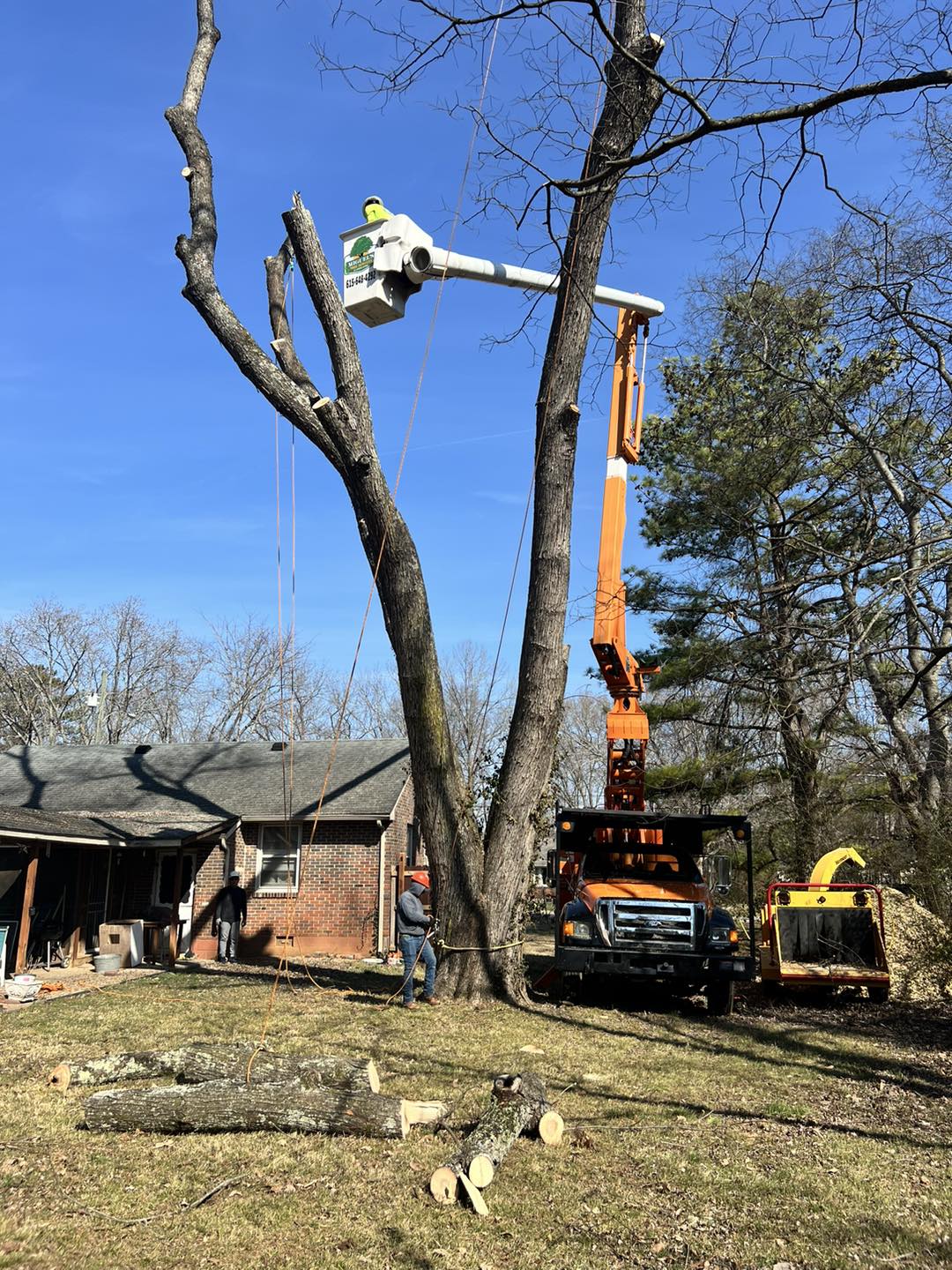 Bucket truck crew removing tree sections beside a home with a chipper nearby
